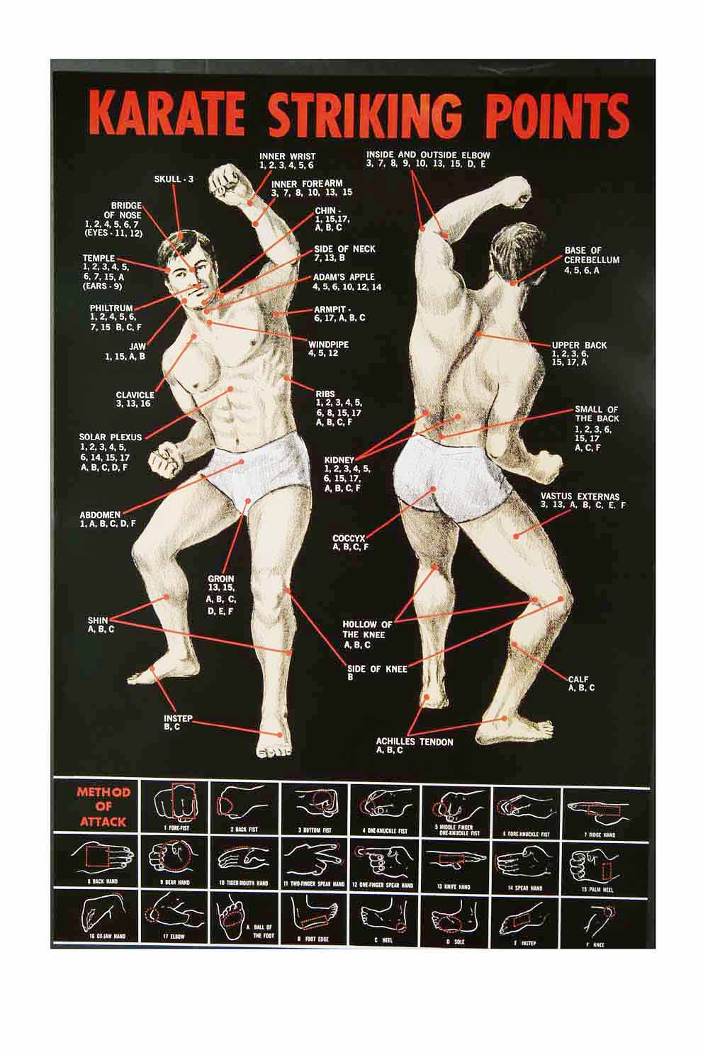 Poster Karate  - Striking Points
